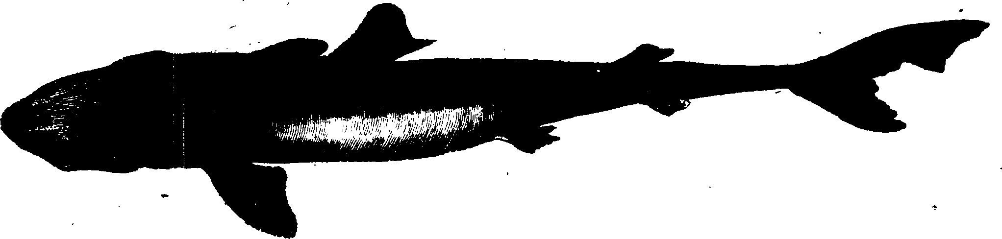 119/119950010400530_1.png