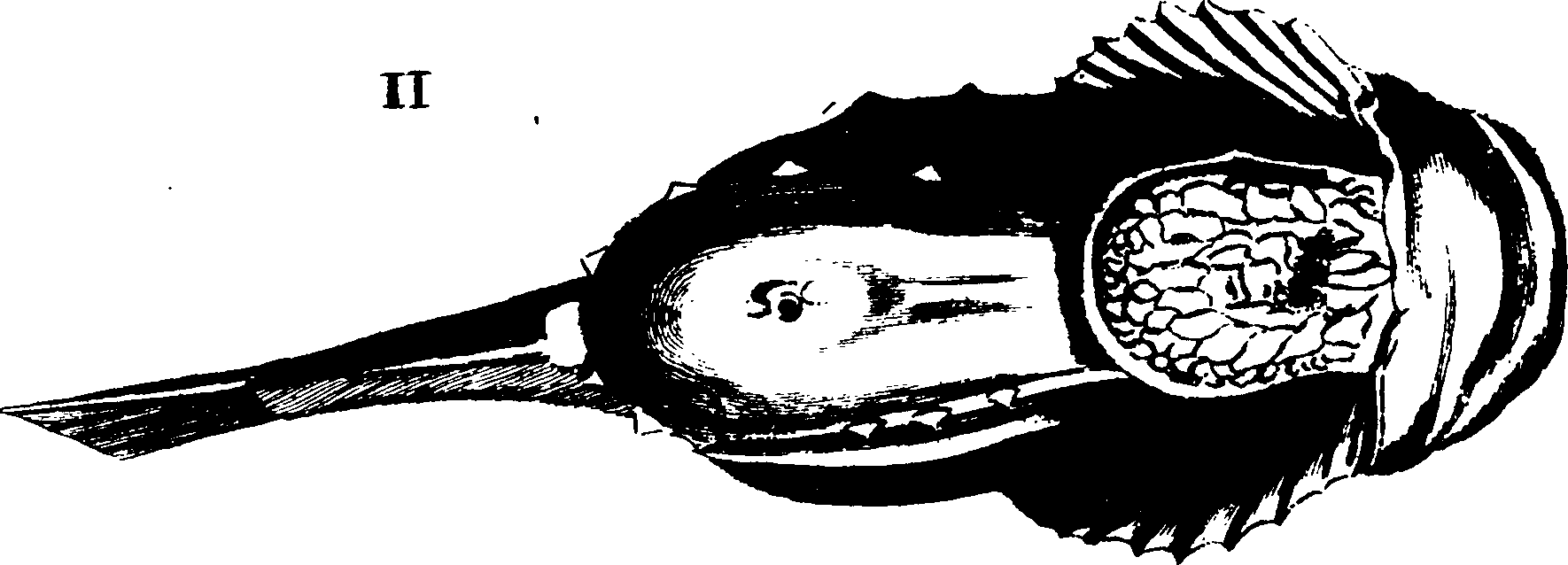 119/119950010400560_1.png