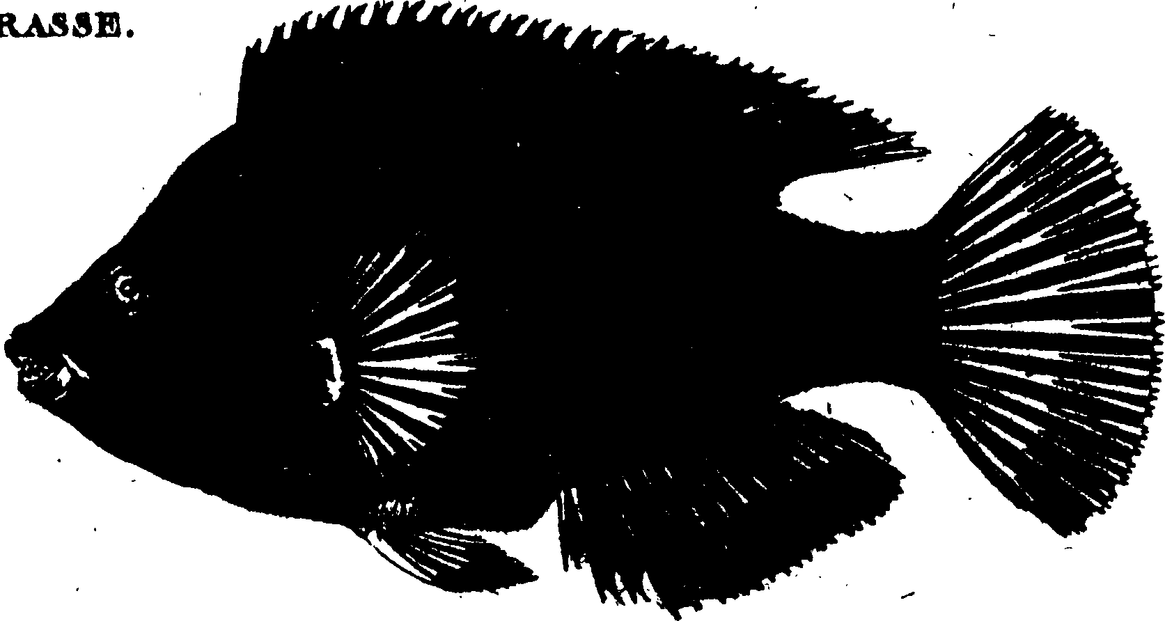 119/119950010400660_1.png