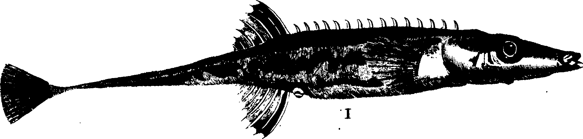 119/119950010400730_0.png