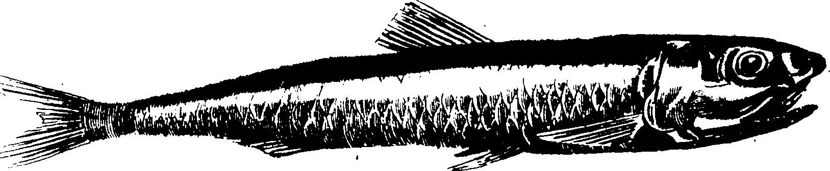 119/119950010400790_0.png