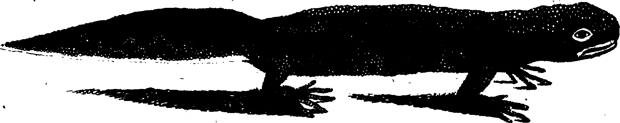 119/119950010400800_0.png