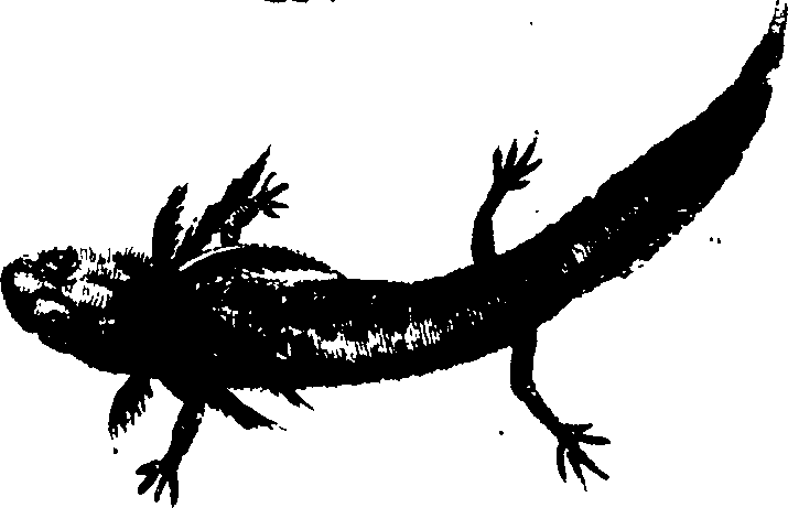 119/119950010400800_1.png
