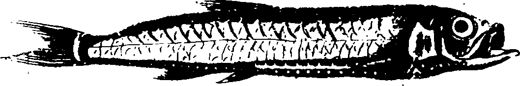119/119950010400890_1.png