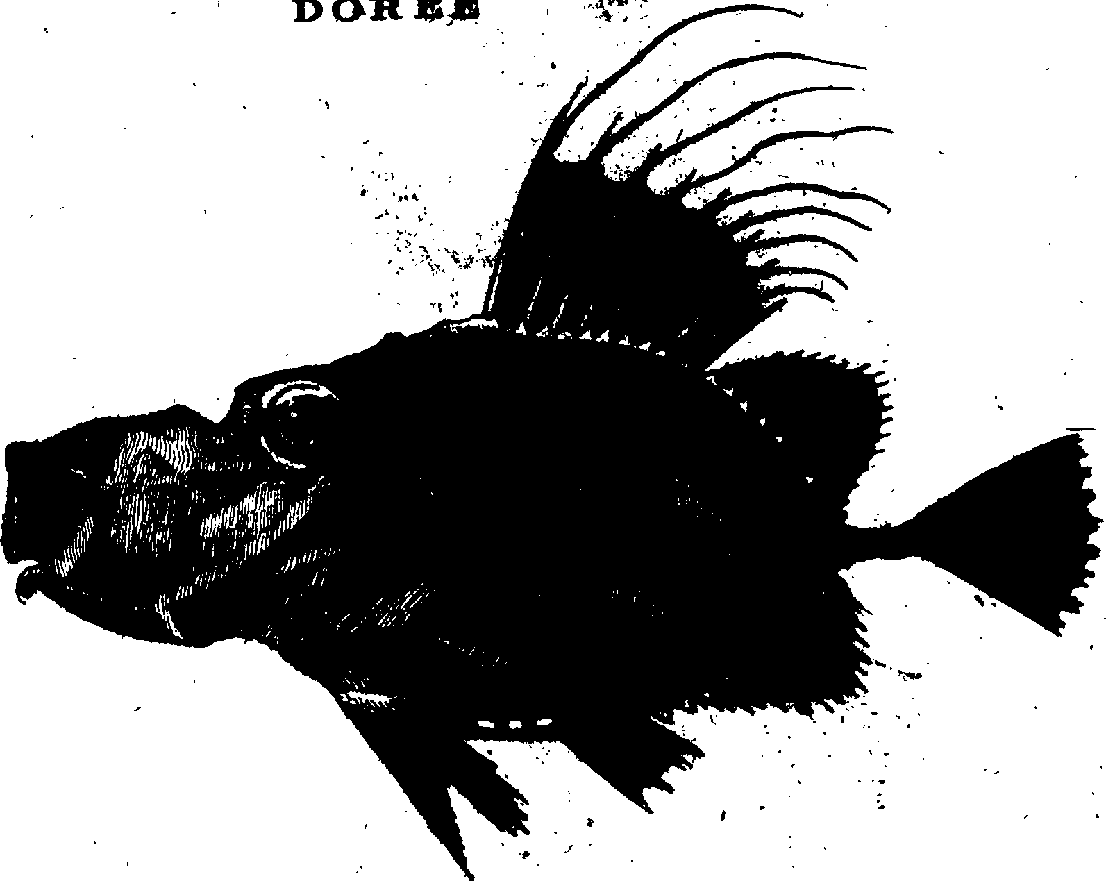 119/119950010400900_0.png