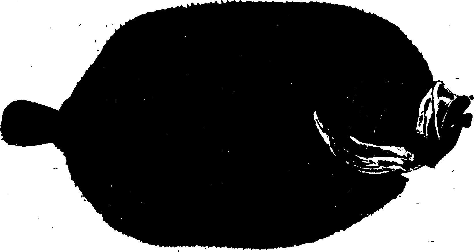 119/119950010400900_1.png