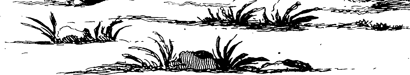 119/119950010400910_0.png