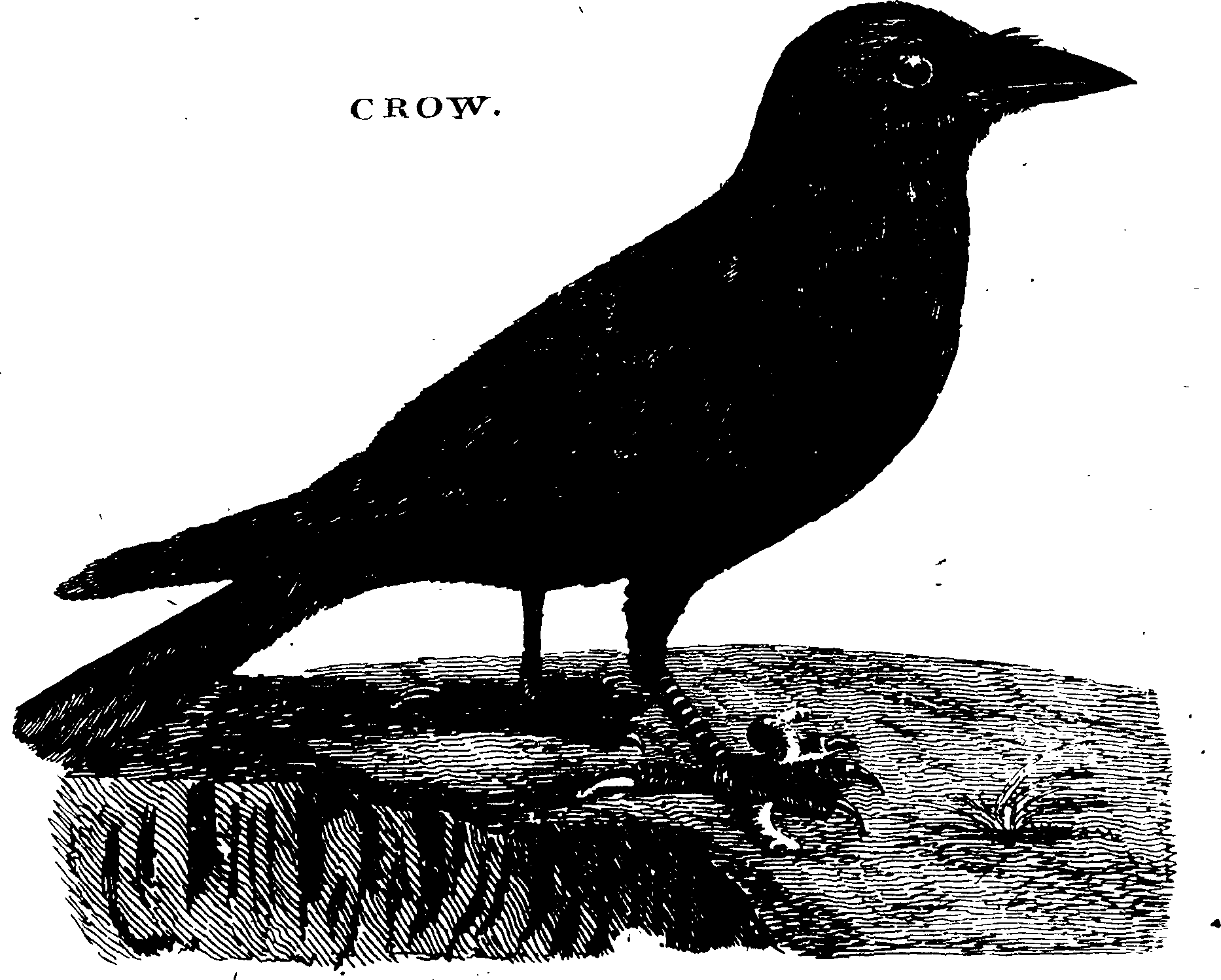 119/119950010401050_0.png