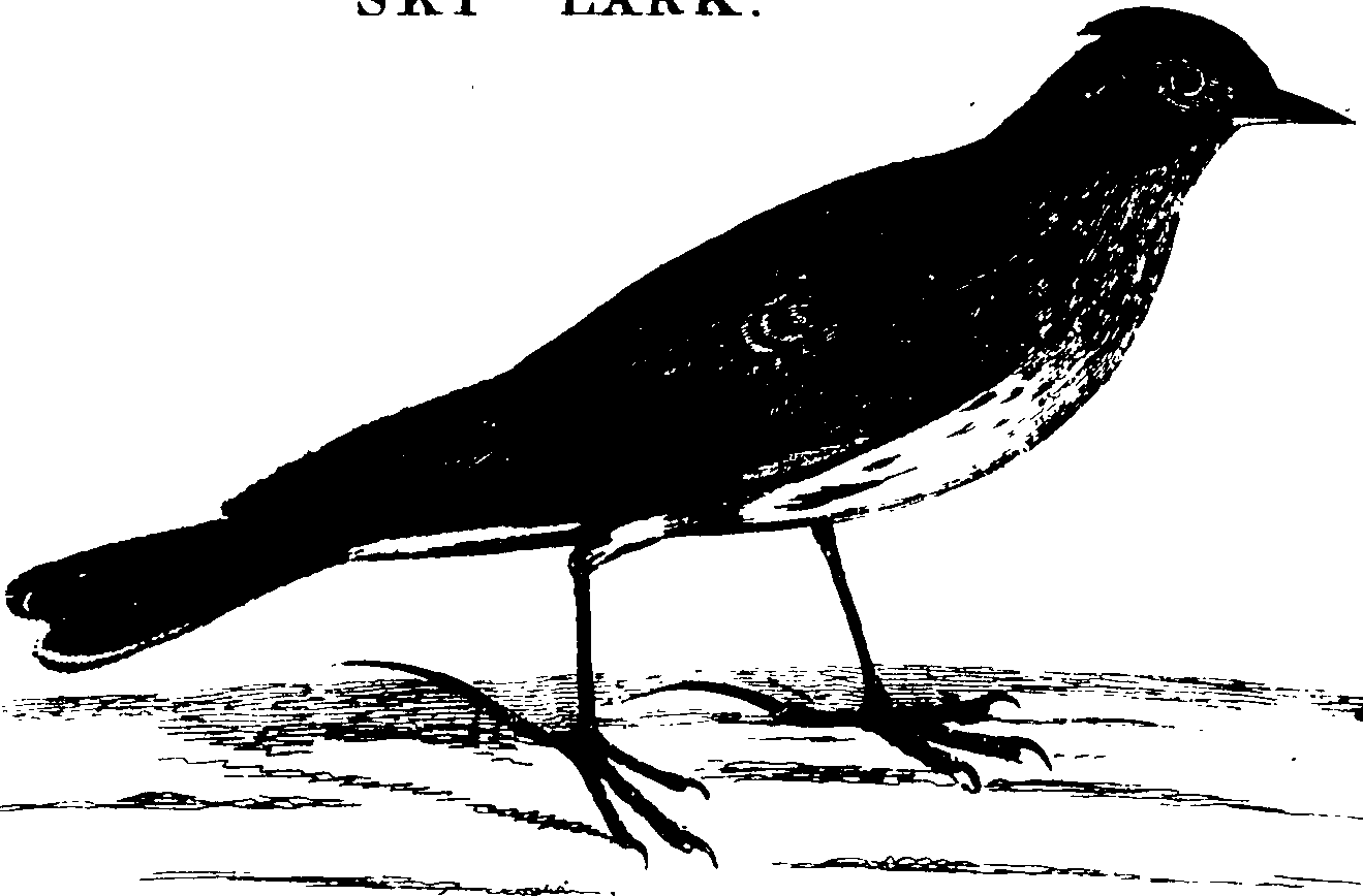 119/119950010401190_0.png
