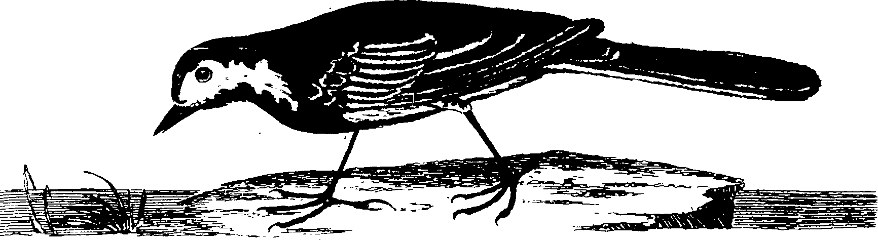 119/119950010401190_2.png