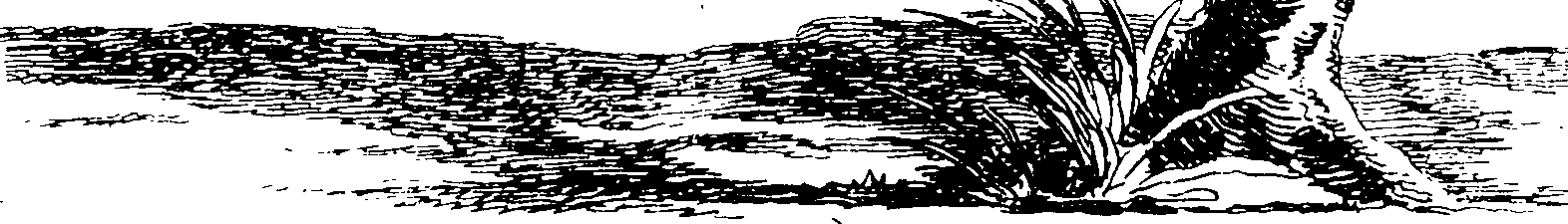 119/119950010401240_0.png