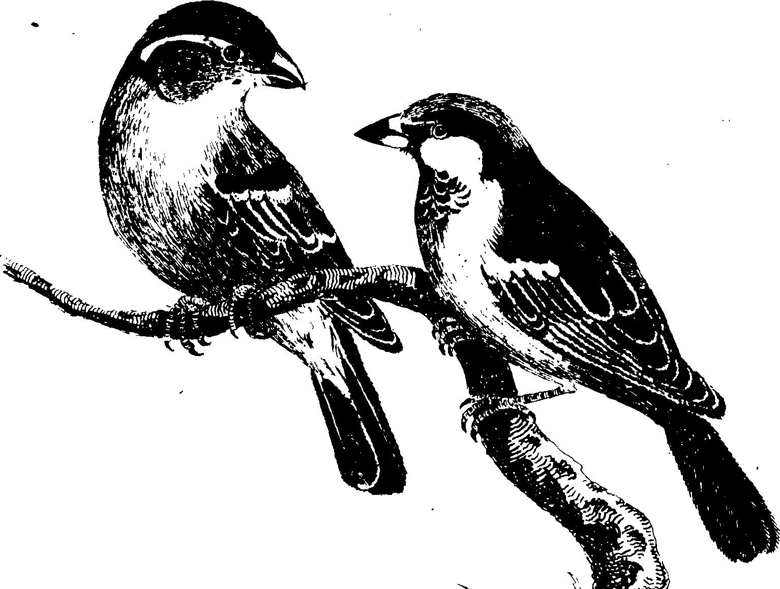 119/119950010401240_1.png