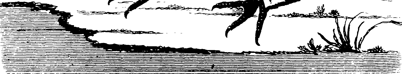 119/119950010401300_0.png