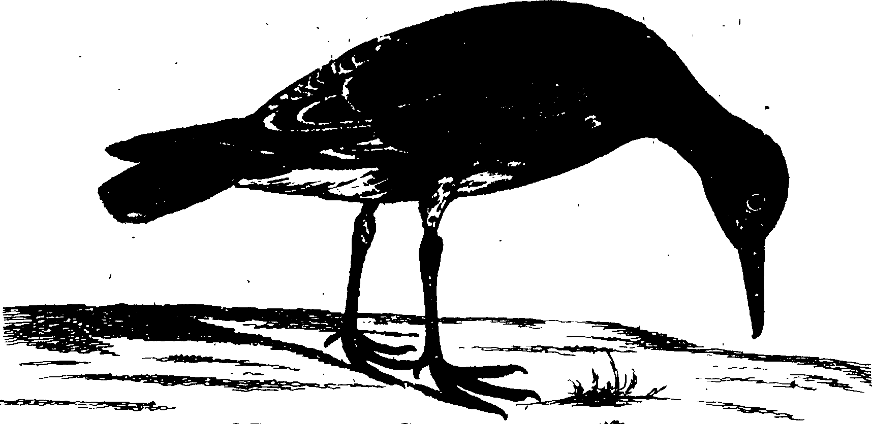 119/119950010401350_0.png