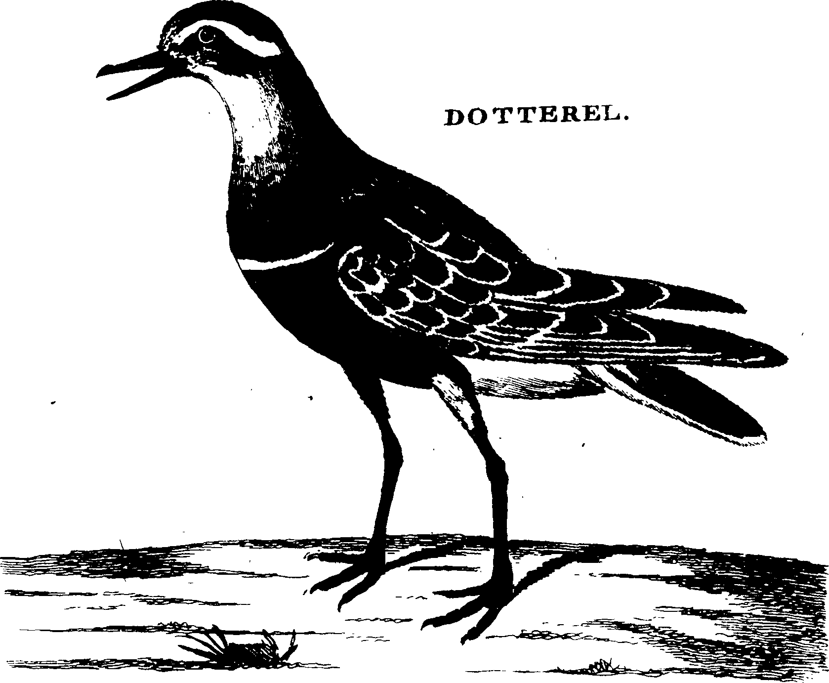 119/119950010401380_0.png