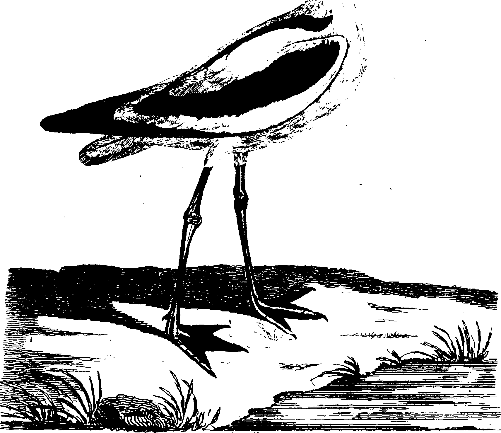 119/119950010401470_0.png