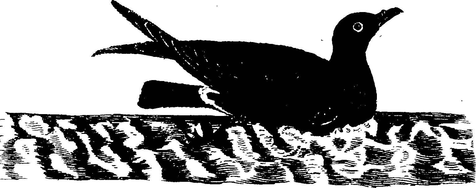119/119950010401510_2.png