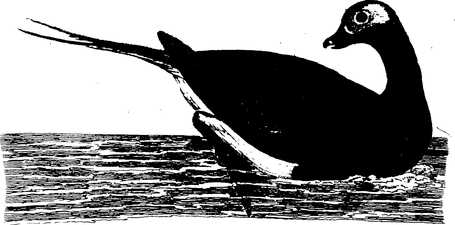 119/119950010401570_1.png