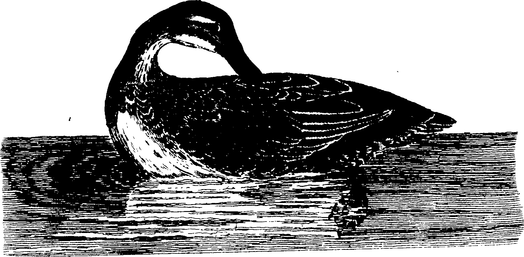 119/119950010401580_0.png