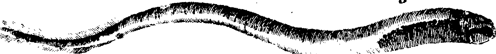 119/119950010401610_0.png
