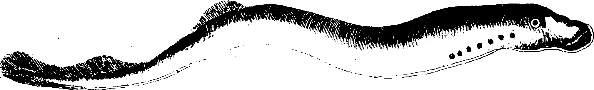 119/119950010401610_1.png