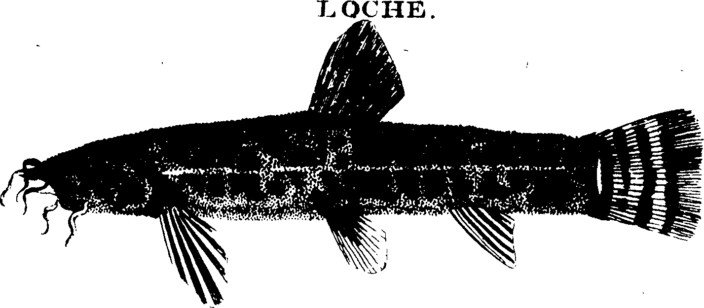 119/119950010401680_0.png