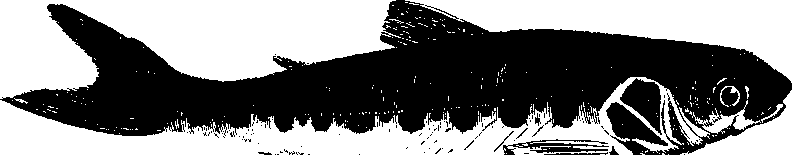 119/119950010401710_0.png