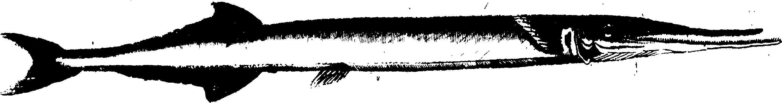 119/119950010401720_0.png