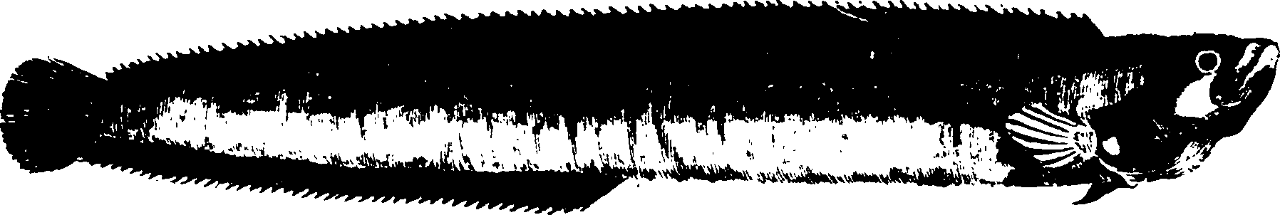 119/119950010401750_0.png