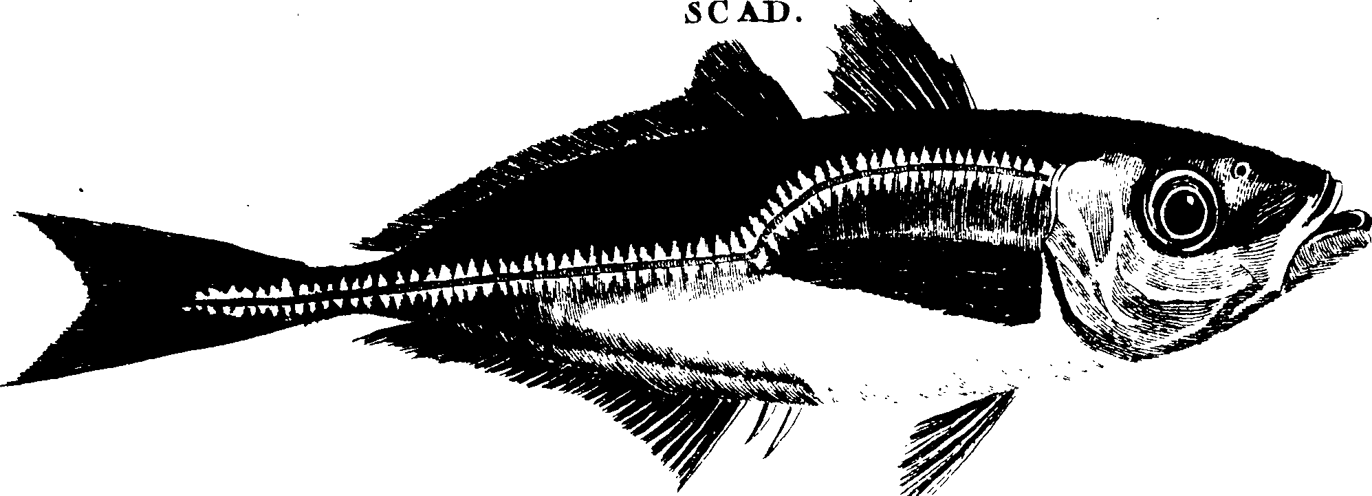119/119950010401770_1.png