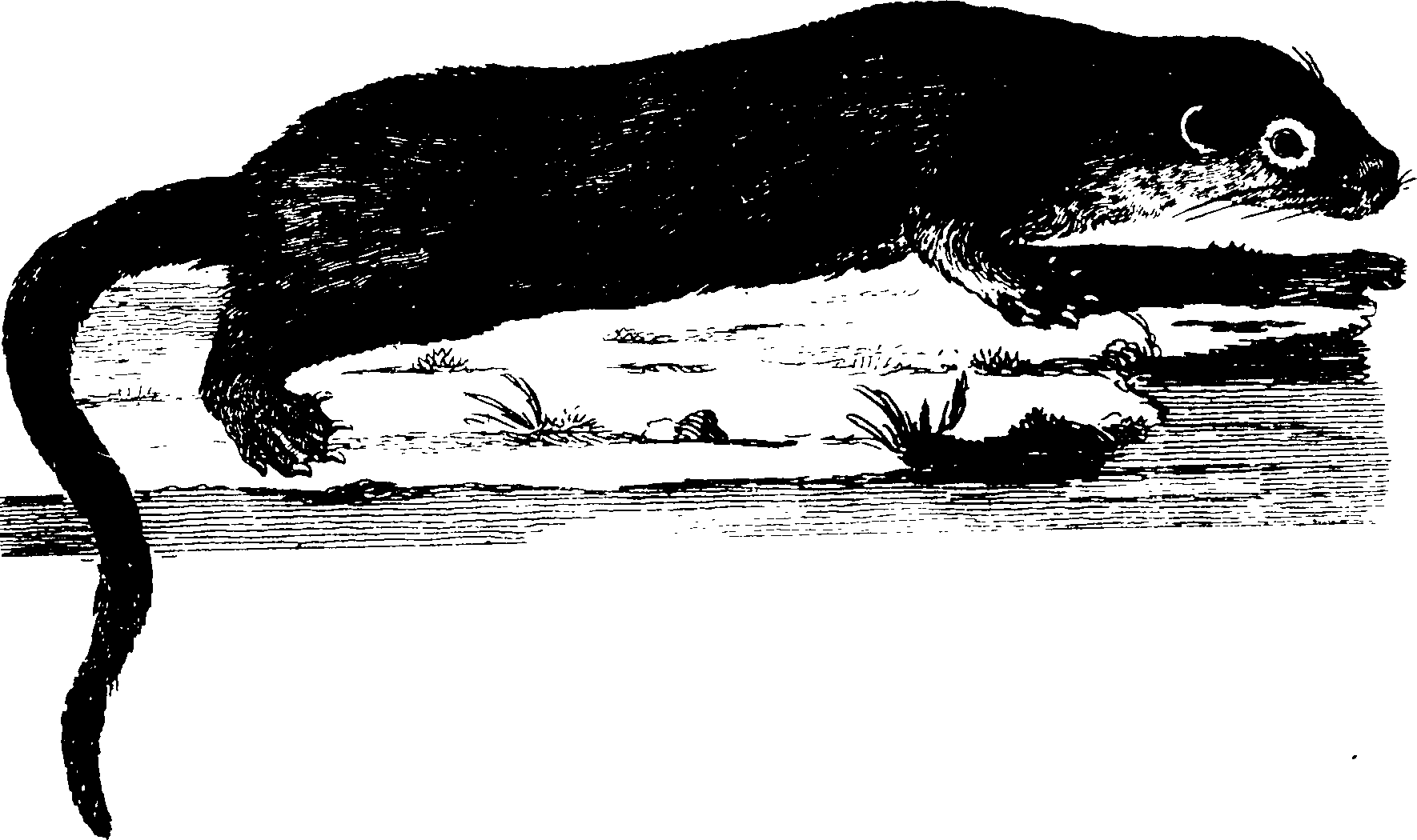 119/119950010401810_1.png