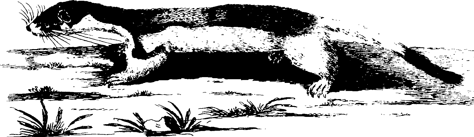 119/119950010401820_0.png