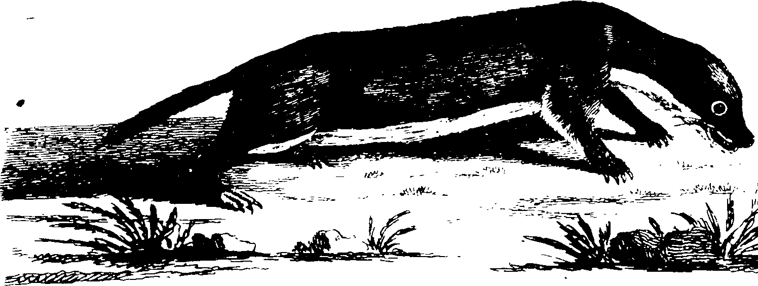119/119950010401820_1.png