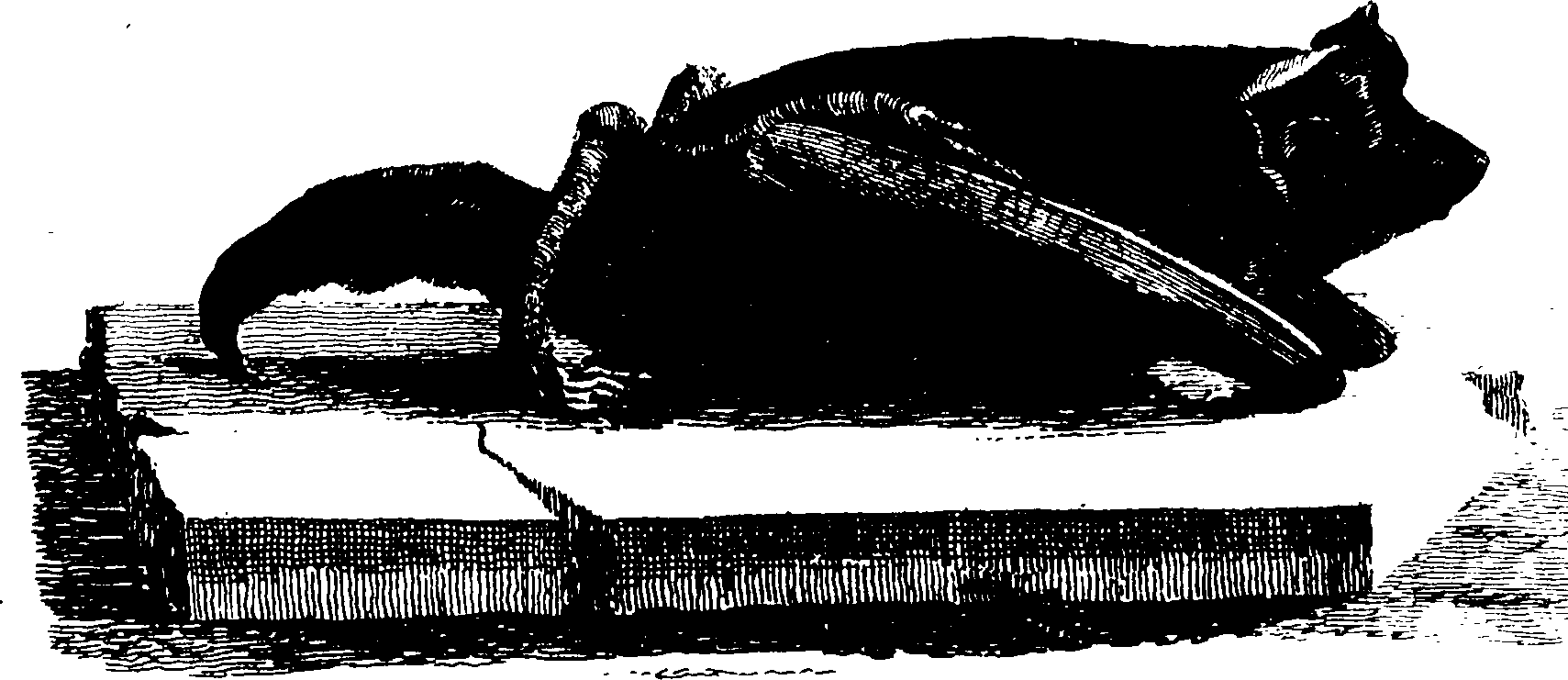 119/119950010401860_0.png