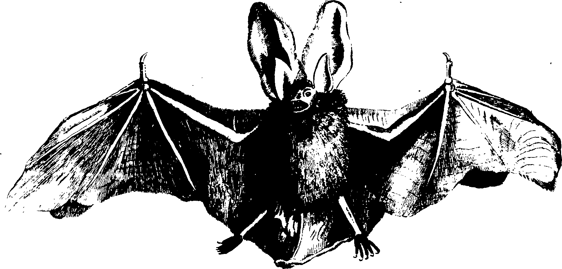 119/119950010401860_1.png