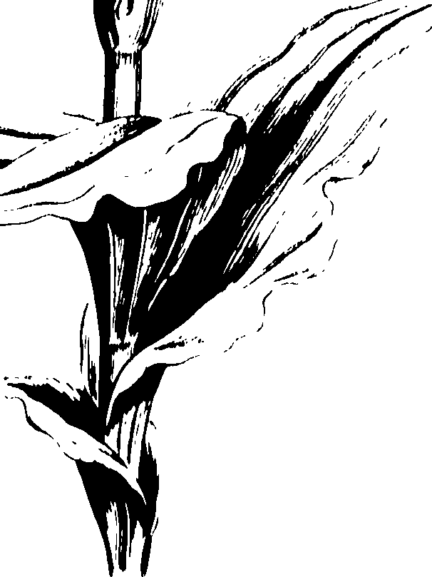 119/119960010102140_0.png