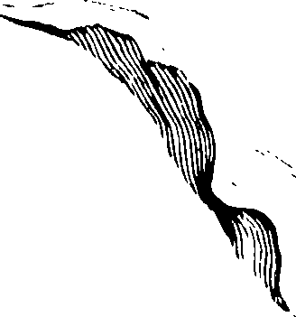 119/119960010102140_1.png