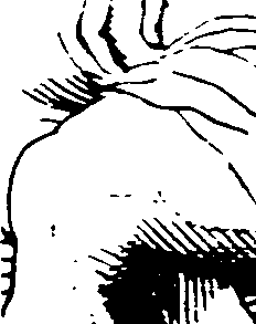 119/119960010102860_0.png
