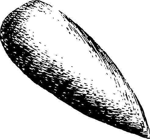 119/119960020000300_2.png