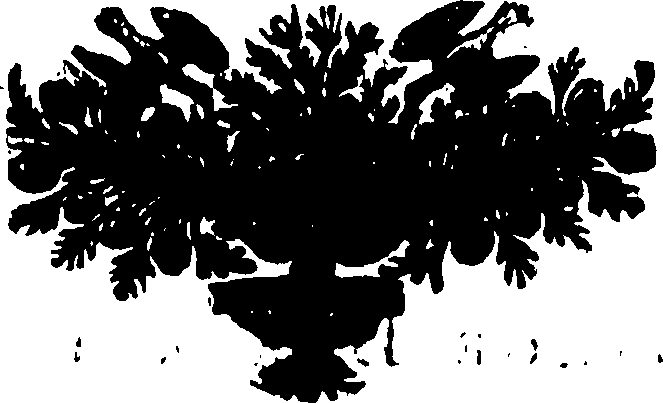 119/119960020001020_0.png