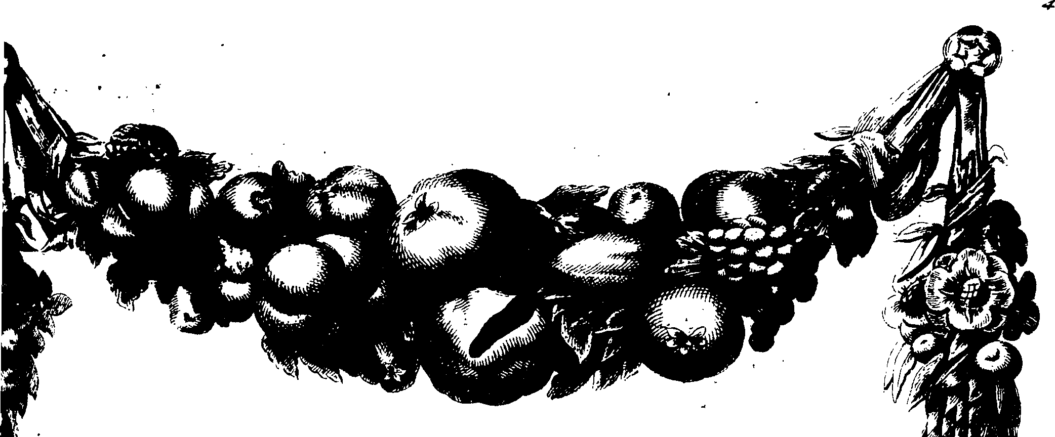 119/119960020001190_1.png