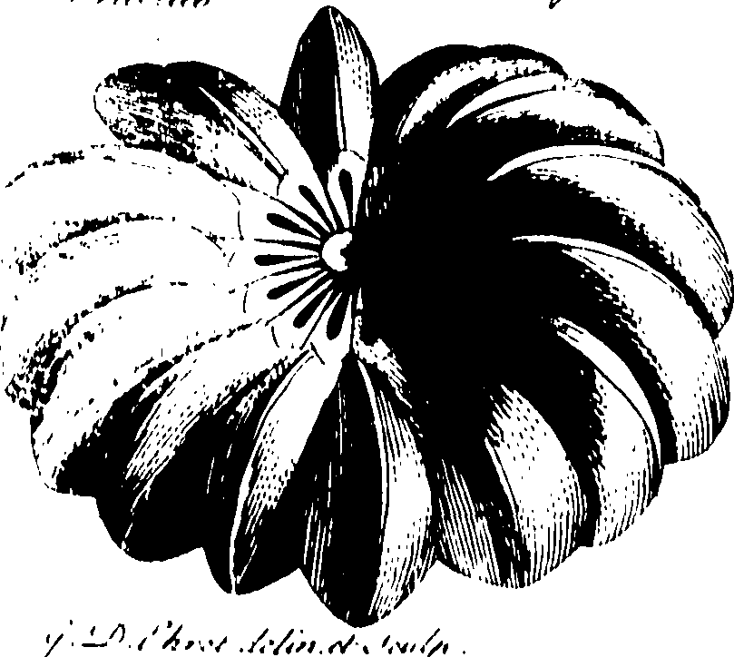 119/119960020001380_0.png