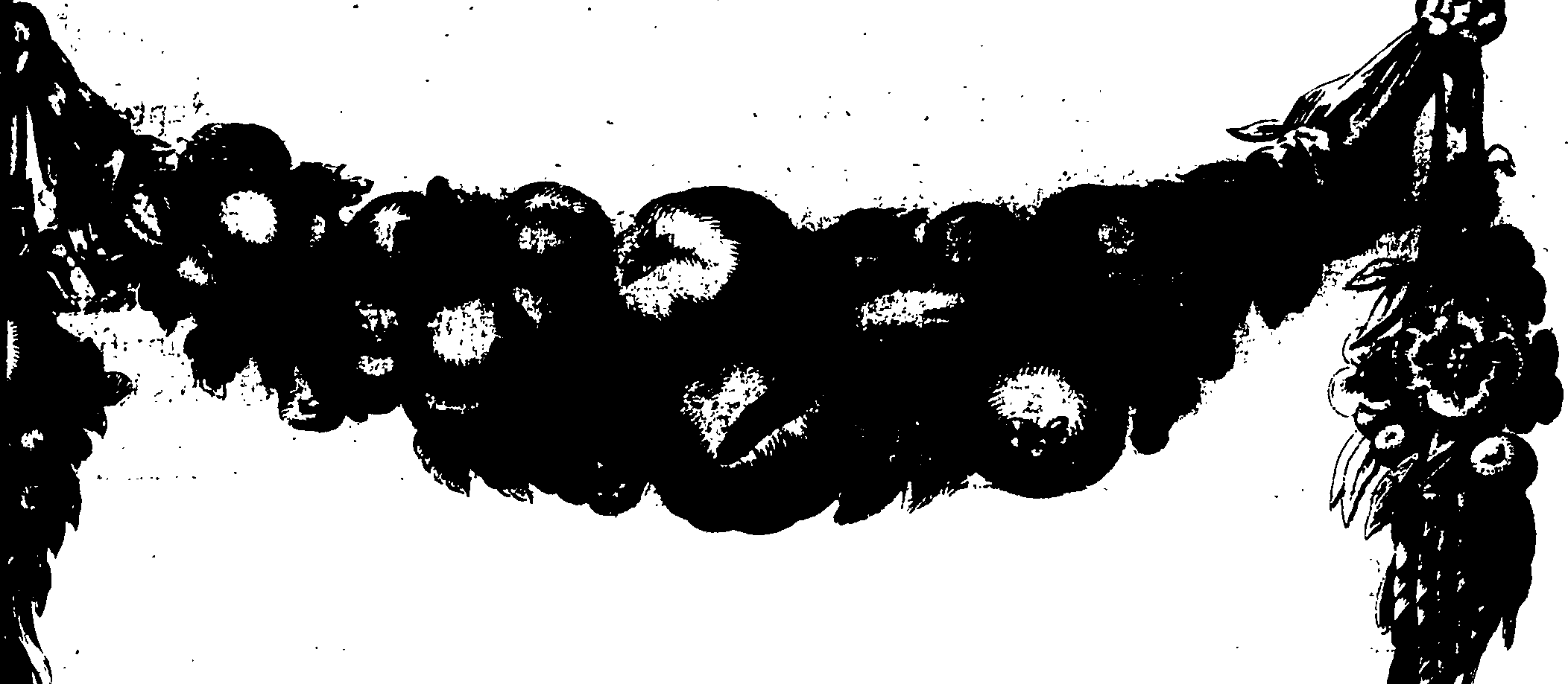 119/119960020001450_1.png