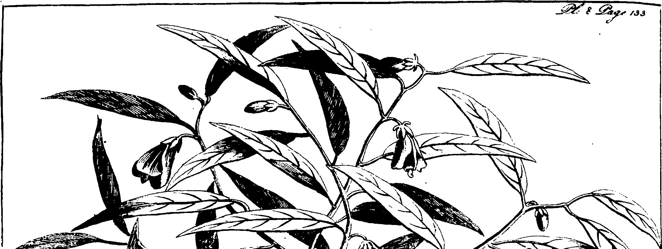119/119960020001580_0.png