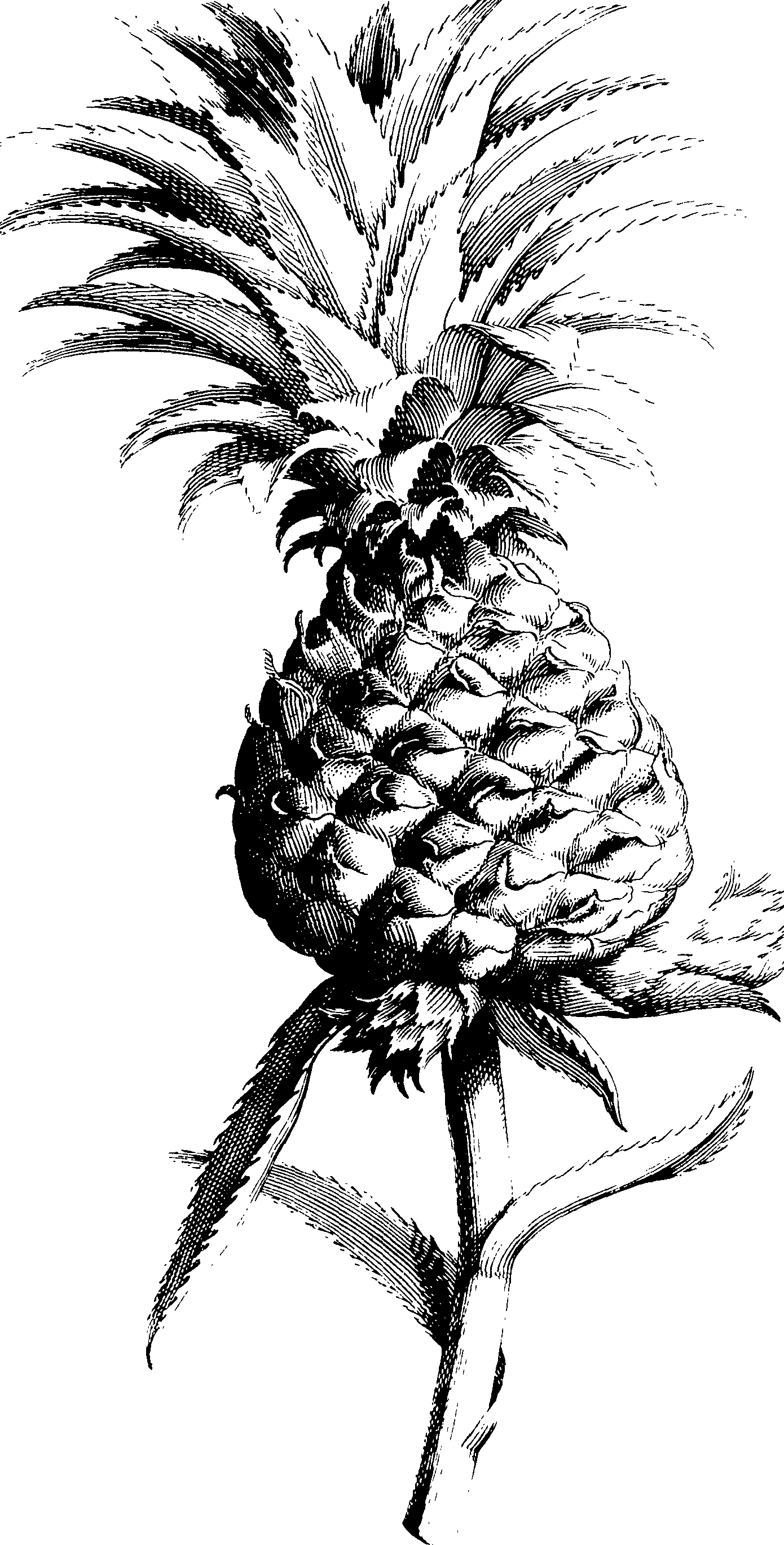 119/119960020002690_1.png