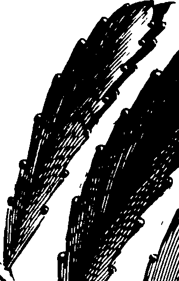 119/119960020002720_0.png