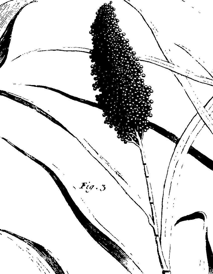 119/119960020002930_1.png