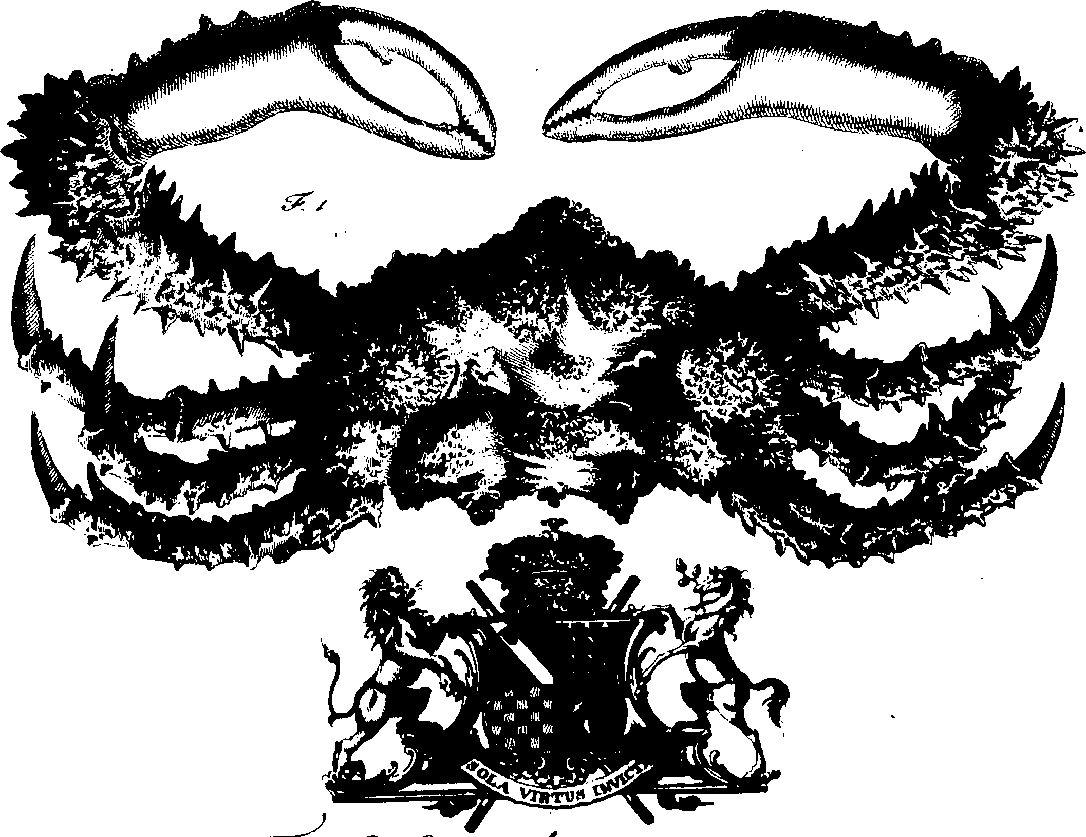 119/119960020003110_0.png
