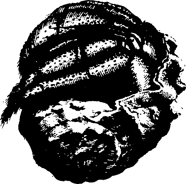 119/119960020003110_1.png