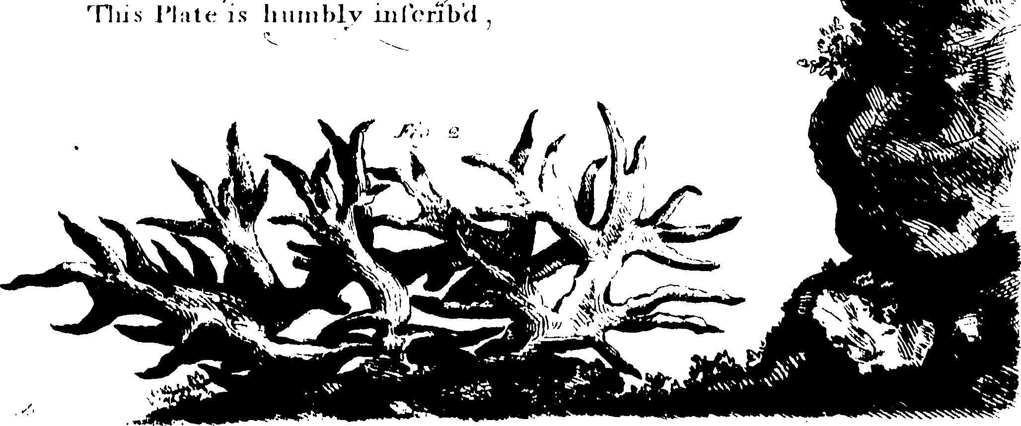 119/119960020003380_0.png